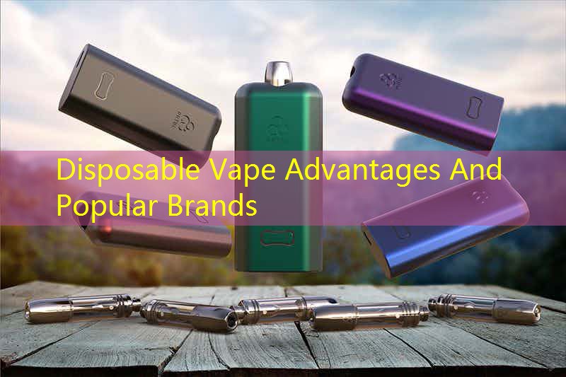 Disposable Vape Advantages And Popular Brands