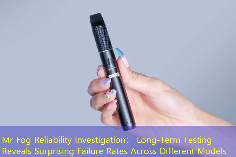 Mr Fog Reliability Investigation： Long-Term Testing Reveals Surprising Failure Rates Across Different Models