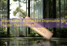 What Makes A Smacked Disposable Hit Harder Than Others？-vape