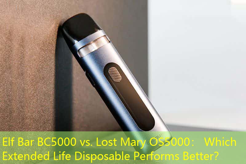 Elf Bar BC5000 vs. Lost Mary OS5000： Which Extended Life Disposable Performs Better？