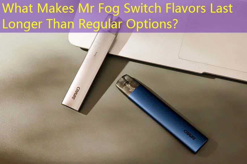 What Makes Mr Fog Switch Flavors Last Longer Than Regular Options？