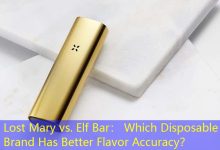 Lost Mary vs. Elf Bar： Which Disposable Brand Has Better Flavor Accuracy？-vape