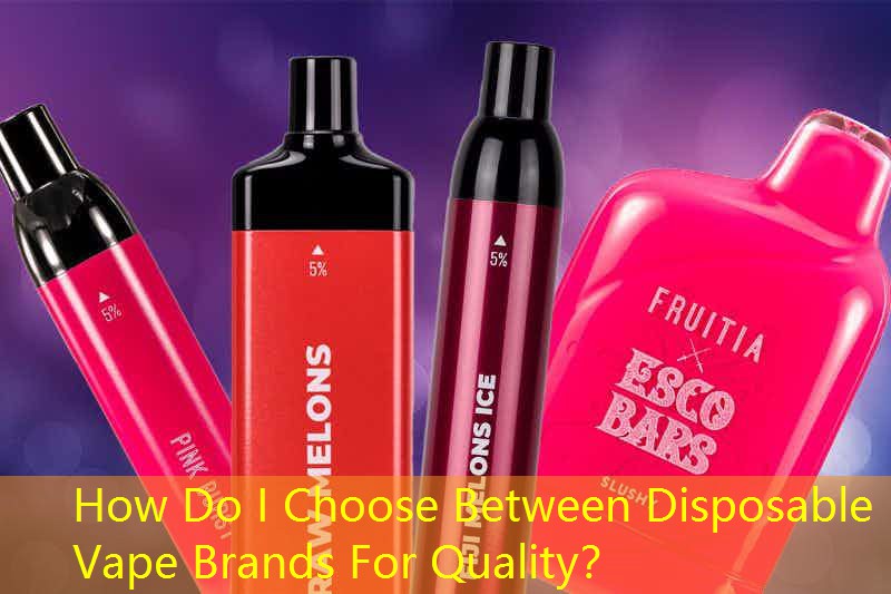 How Do I Choose Between Disposable Vape Brands For Quality？