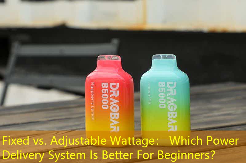 Fixed vs. Adjustable Wattage： Which Power Delivery System Is Better For Beginners？