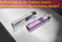 Puffco Peak vs. Dr. Dabber Switch: Which Premium E-Rig Performs Better?-vape
