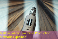 Mellow Fellow Live Resin Production Methods Explained-vape