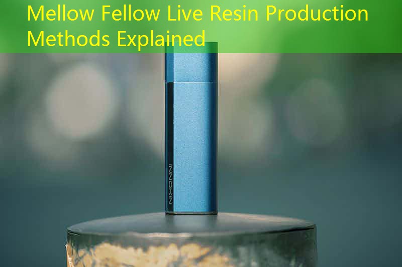Mellow Fellow Live Resin Production Methods Explained