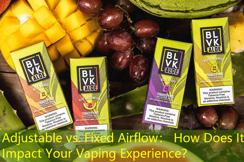 Adjustable vs. Fixed Airflow： How Does It Impact Your Vaping Experience？