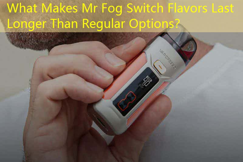 What Makes Mr Fog Switch Flavors Last Longer Than Regular Options？