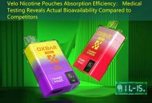 Velo Nicotine Pouches Absorption Efficiency： Medical Testing Reveals Actual Bioavailability Compared to Competitors-vape