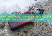 Cake Pen Manufacturing Facility Tour： What We Discovered About Quality Control That Changed Our Perspective-vape