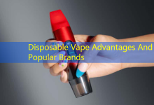 Disposable Vape Advantages And Popular Brands-vape