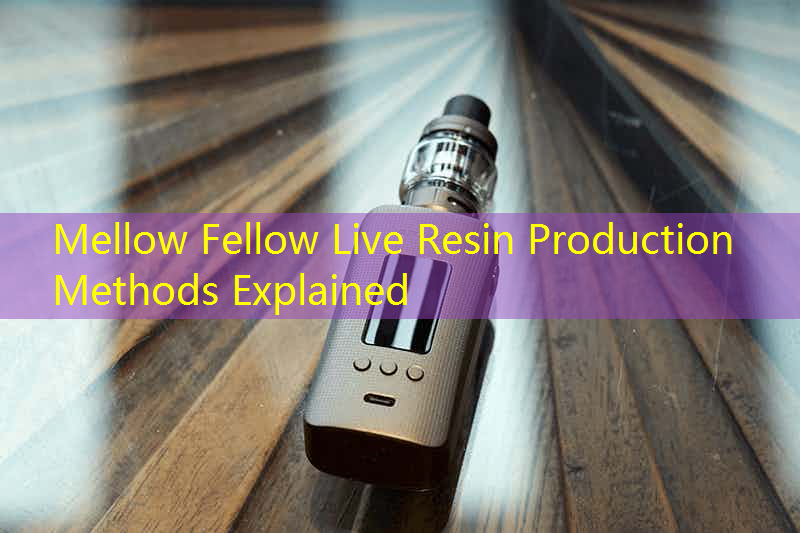 Mellow Fellow Live Resin Production Methods Explained