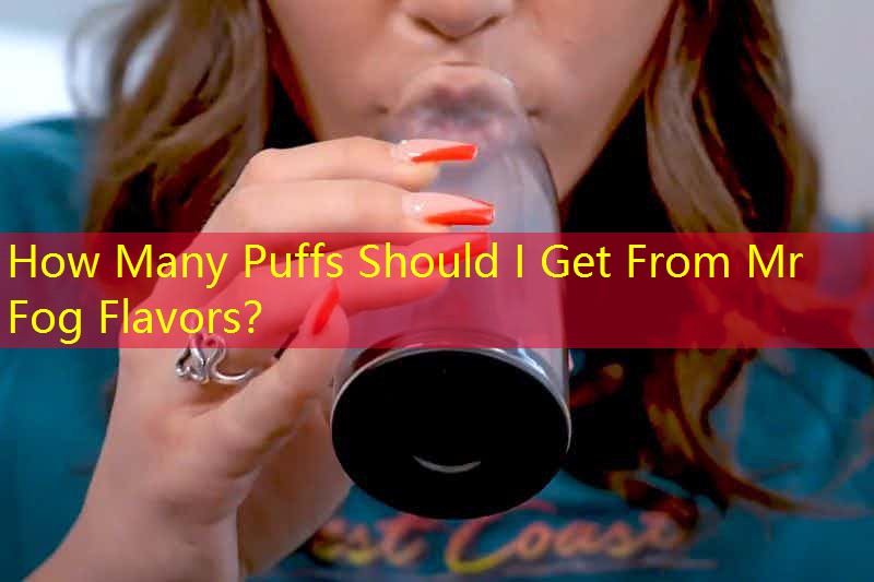 How Many Puffs Should I Get From Mr Fog Flavors？