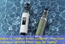 Indoor vs. Outdoor Grown Cannabis： How Does Cultivation Method Affect Vape Oil Quality？-vape