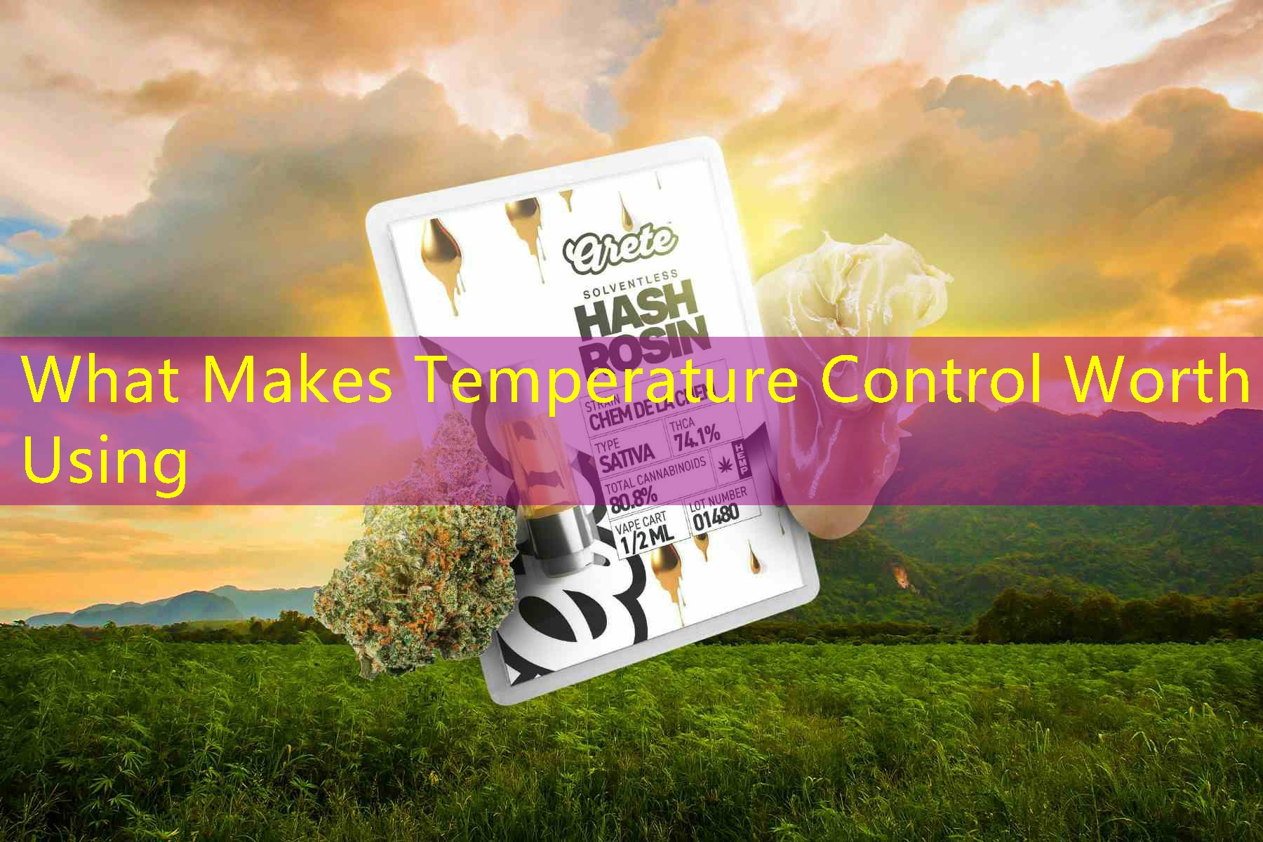 What Makes Temperature Control Worth Using