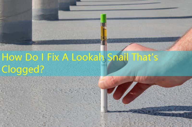 How Do I Fix A Lookah Snail That's Clogged？