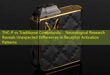 THC-P vs Traditional Compounds： Neurological Research Reveals Unexpected Differences in Receptor Activation Patterns-vape