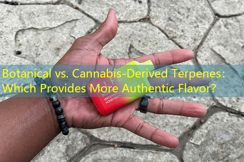Botanical vs. Cannabis-Derived Terpenes： Which Provides More Authentic Flavor？