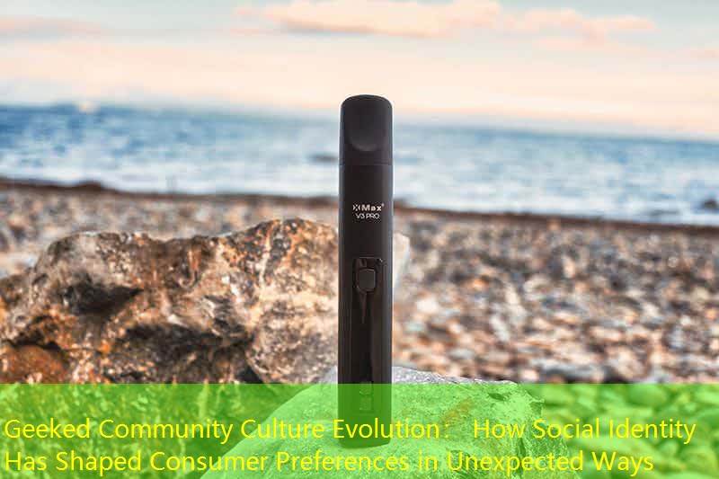 Geeked Community Culture Evolution： How Social Identity Has Shaped Consumer Preferences in Unexpected Ways