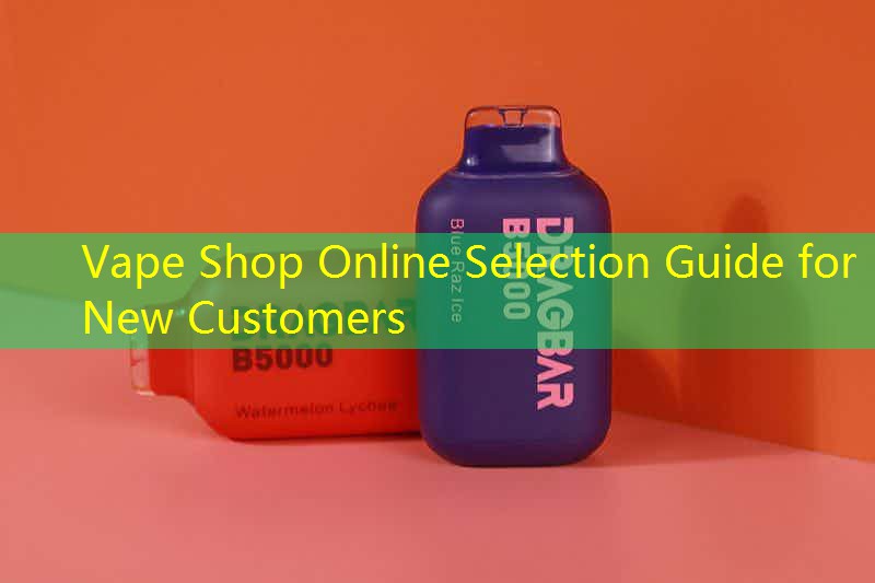 Vape Shop Online Selection Guide for New Customers