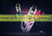 Botanical vs. Cannabis-Derived Terpenes： Which Provides More Authentic Flavor？-vape