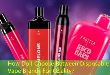 How Do I Choose Between Disposable Vape Brands For Quality？-vape